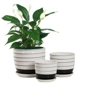 Black Striped Flower Pot